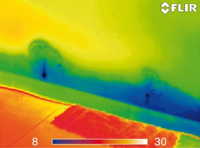 Thermal Imaging moisture thermal